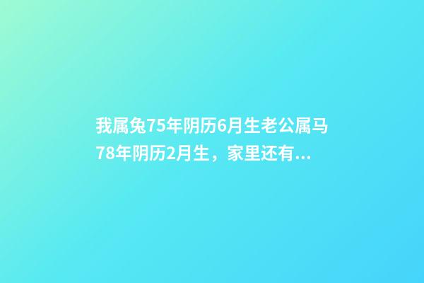 我属兔75年阴历6月生老公属马78年阴历2月生，家里还有一男孩属羊2003年阴历7月生，请问还要再生一个 属兔的和属羊的最配吗？-第1张-观点-玄机派